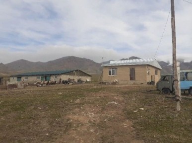 уй сатылады мал устағанға колайлы