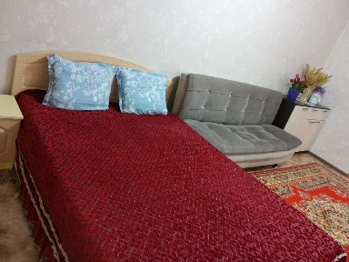 Уютная квартира почасово и на сутки, центр, Алашахана 16 Уютная кварт