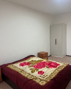 Зерделі квартира