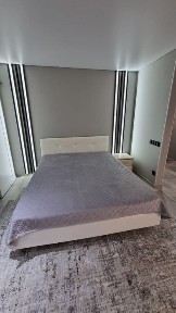 Люкс посуточная по часам Центр