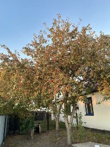 Продам дом, с Новоямышево