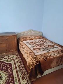 Сдам дом, в центре борового, 3 комнаты.