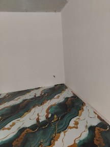 3 комнатная квартира в аренду