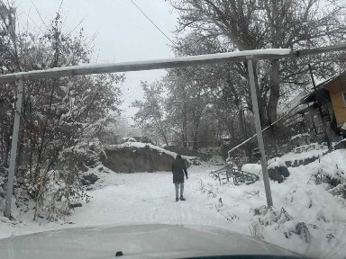 Сдам квартиру в аренду