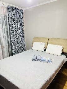 3 комнатная, посуточно, центр Д. Конаева 10. Рядом Метроном