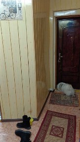 Продажа квартиры