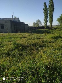 Участок 40 соток в г. Тараз (ранее пригородный совхоз)