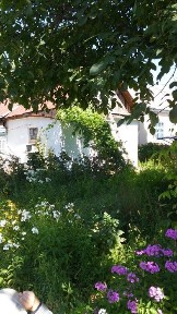 ПРОДАМ ДОМ / Ванновка