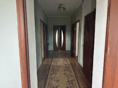 Уй сатылады шелек ауылында 50 сот