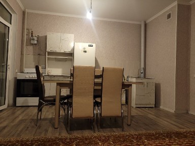 1 комнатная квартира (кухня-студия)