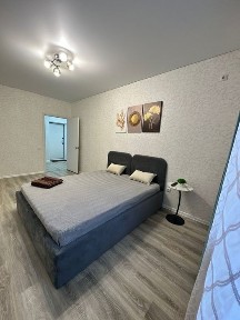 Однокомнатная квартира / посуточно