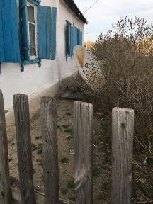 Продам дом в сельской местности с домашней утварью.