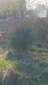 Дача на мирном продам