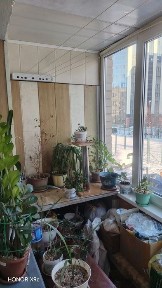 3-х комнатная квартира