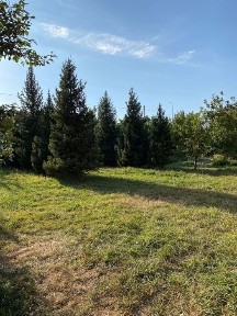 Сдаётся котедж в аренду посуточно