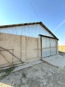 Туркестанская область, Кызылсенгир