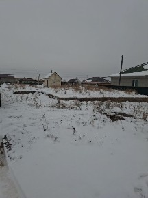 Актюбинская область, Актобе, Акация