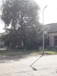 Западно-Казахстанская область, Федоровка