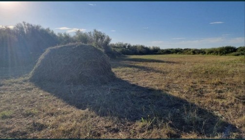 Ауыл кожалыгы каракенгир