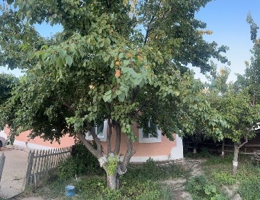 Атырауская область, Кульсары
