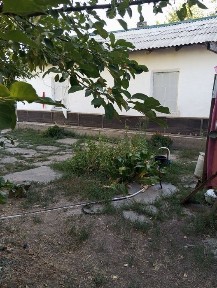 Дом продаю, участок большой, срочно в связи с переездом ! 20 сот