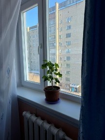 Продаётся квартиру 3х комнатная рассмотрим варианты расмотрим