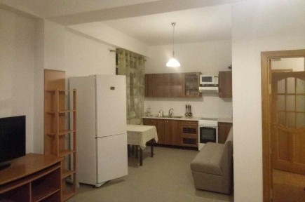 1-а комнатная квартира, 50м2, ул. Шамшырак на длительный срок