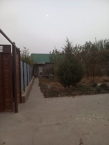 Жетисай каласы Уй сатылады
