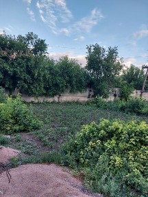 Акмолинская область, Макинск