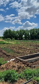 Акмолинская область, Степногорск