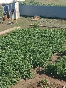 Западно-Казахстанская область, Трекино