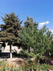 Туркестанская область, Аксукент