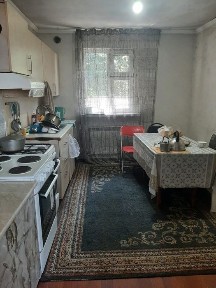 дом из каркаса камыш