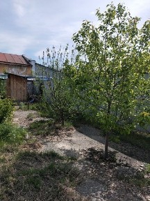 Алматинская область, Талдыкорган, Еркин