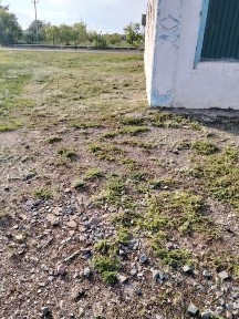 Продам здание с документами