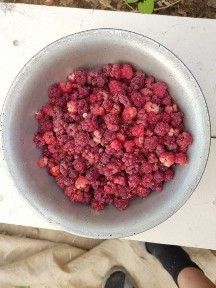 Кызылординская область, Кызылорда