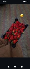 Тәулігіне/ сағатына жалданады