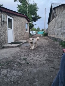 Карагандинская область, Сарань