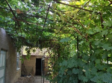 Продам Дачу на Кайнар-Булак