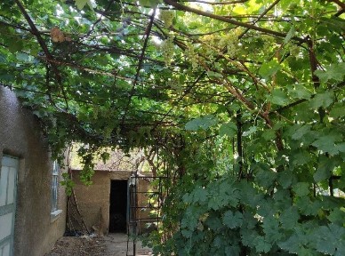 Туркестанская область, Шымкент, Абайский район