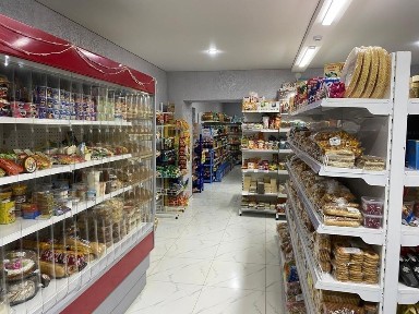 Дом с действующим бизнесом
