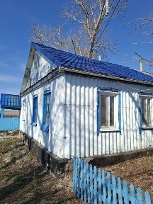 Продам дом на два хозяина