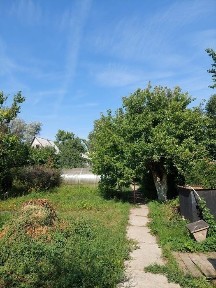 Дом 3 комнатный, земельный участок 12 соток