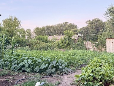 Восточно-Казахстанская область, Калбатау