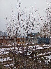 Продам дом частное