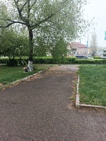 Продам офис в центре города напротив супермаркет Сокол