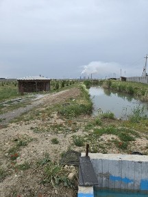 Сдается в аренду зона отдыха с беседками, прудом. все коммуникации