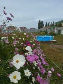 Уютный дом в живописном месте, вблизи столицы