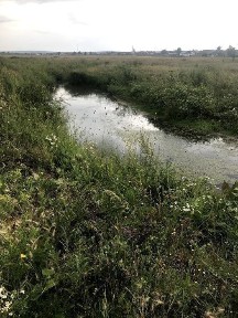 Уютный Дом (в курортном городе на два хозяина) в городе Щучинск, 240 к