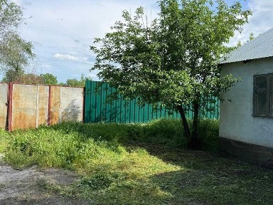 продается яблоневый сад с домом в п. Луговое, Жамбылская область